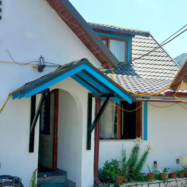 Casa Toth din Țipțerai，上維謝烏的飯店