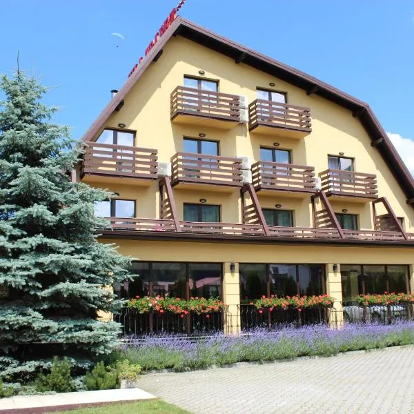 Vila Trapez, hotel din Cărpiniş