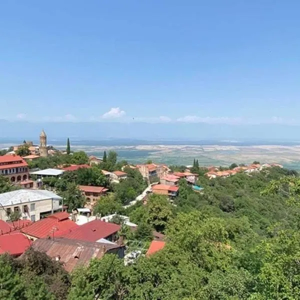 Dzveli Ubani, hotel v destinaci Signagi