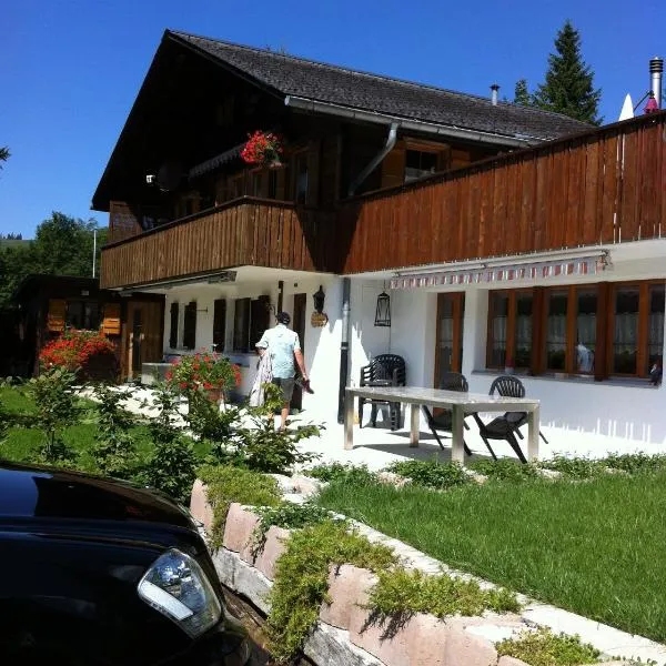 Chalet Erika, hotel in Schangnau