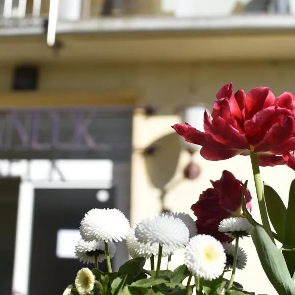 Haus Sonneck, hotel in Marburg an der Lahn