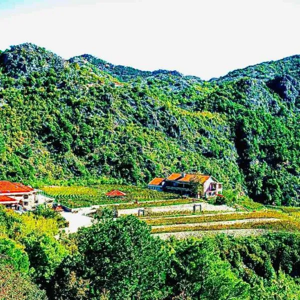 Eco Winery Lipovac Apartments, hotel v destinaci Cetinje