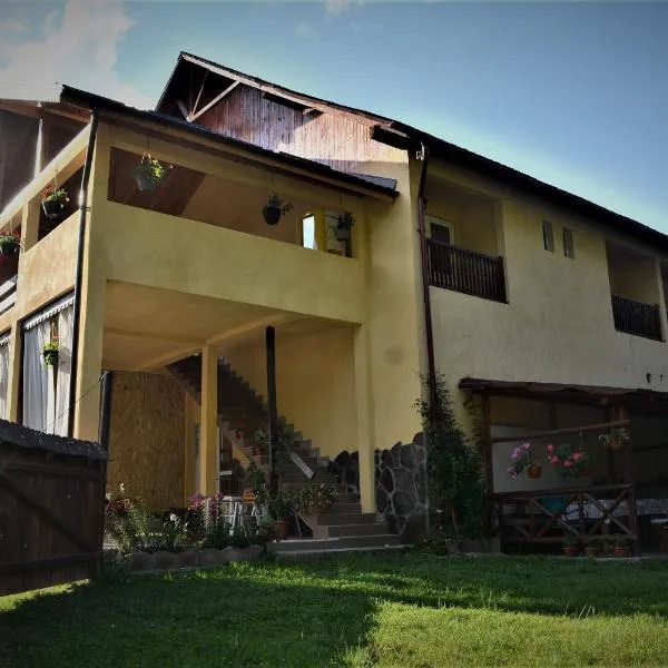 Pensiunea Sorina Deea, hotel v destinaci Bicazu Ardelean