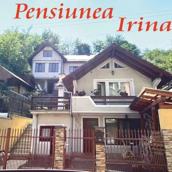 Pensiunea Irina, hotel en Valea Borcutului