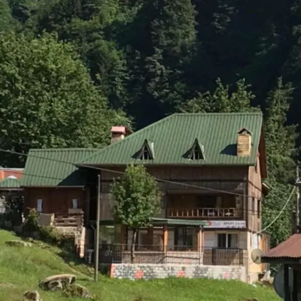 Guesthouse Dolunay, hotel in Ayder Yaylasi