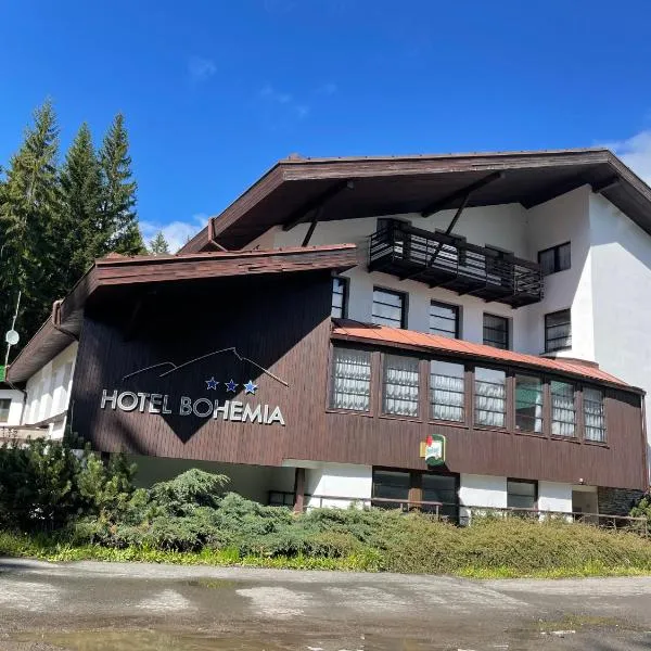 Hotel Bohemia, hotell i Železná Ruda