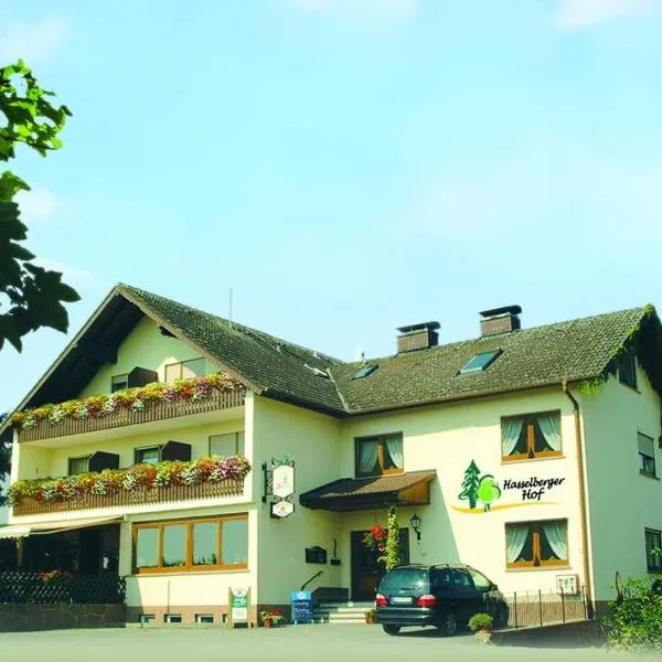 Hasselberger Hof, hotel in Altenbuch im Spessart