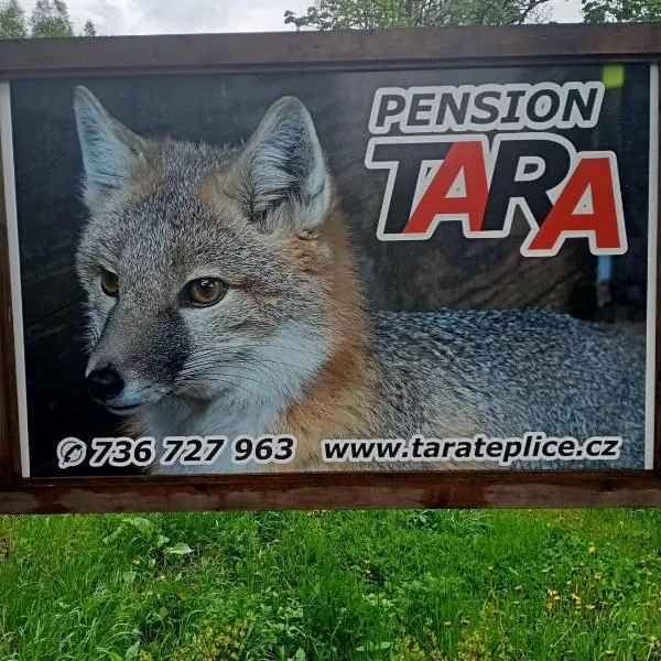 pension TARA, Hotel in Teplice nad Metují