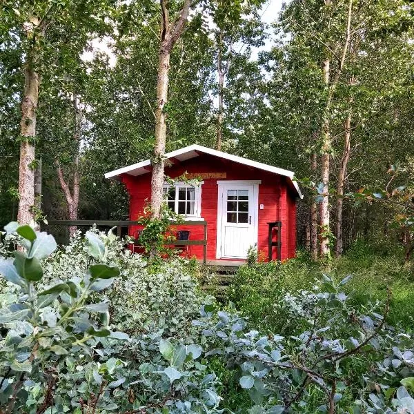 Bakkakot 3 Cozy Cabin In The Woods, hotell i Hjalteyri