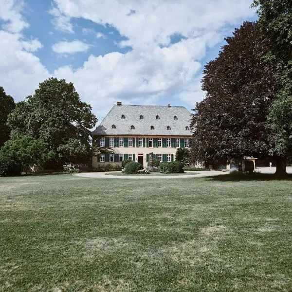 Gutshotel Baron Knyphausen, hotel in Eltville