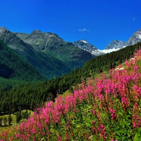 Appartamenti Edelweiss, hotel in Chaudana