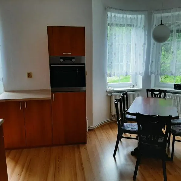 Apartmán vila Vítkovice, hotel ve Vítkovicích