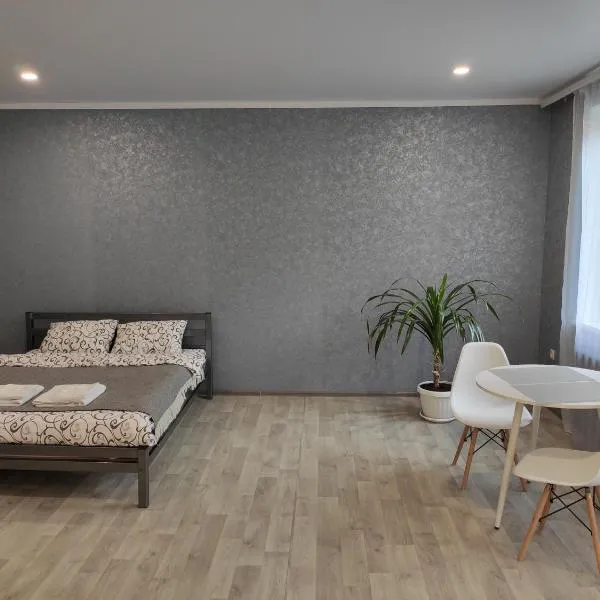 Две уютные квартиры в центре города Дзержинка - New apartments, hotel v destinaci Kryvyj Rih