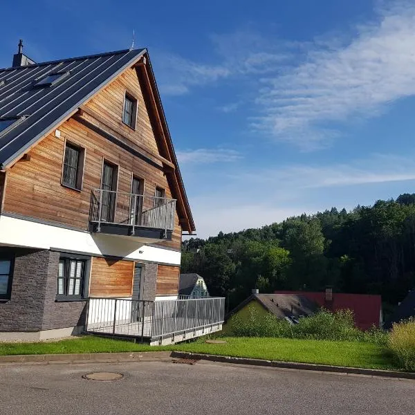 Apartmán Alfa 11, hotel v Černém Dole