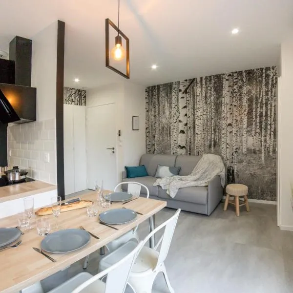 APPART-HOTEL n 4 calme avec terrasse, Wi-fi haut débit, petit-déjeuner, room-service et parking privé, hotel v destinaci Chouzelot