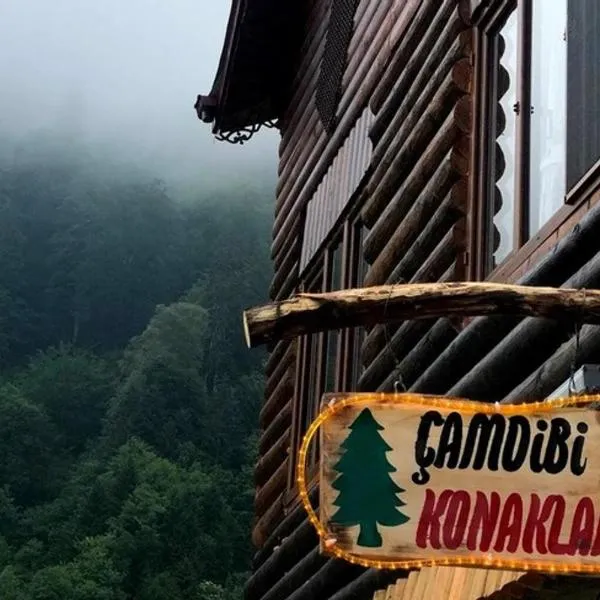 Çamdibi Konaklama, hotel in Zilkale