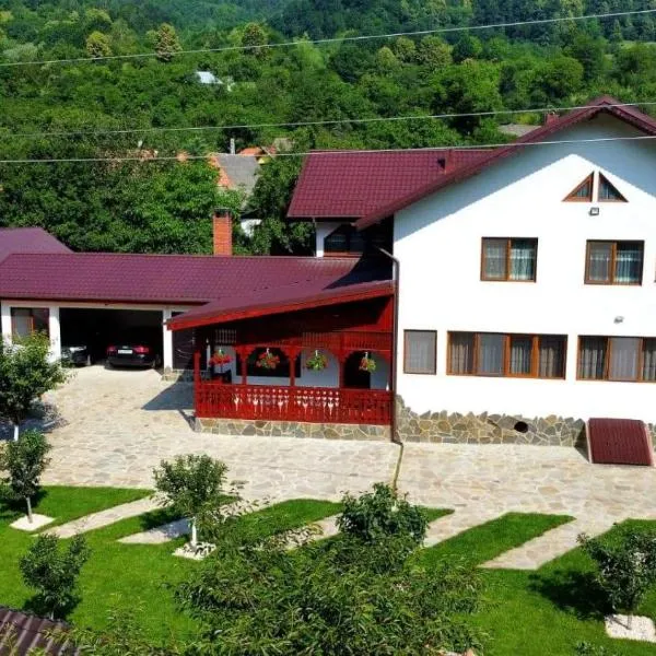 Casa Toader, hotel en Plavăţu