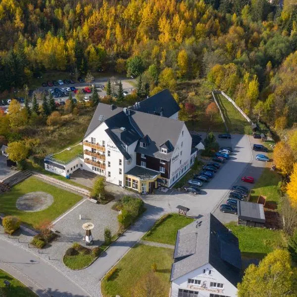 Alte Schleiferei, hotel in Breitenbrunn