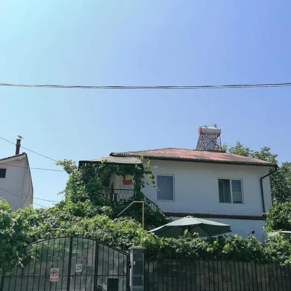 Vila Didi, Mangalia, hotell sihtkohas Mangalia