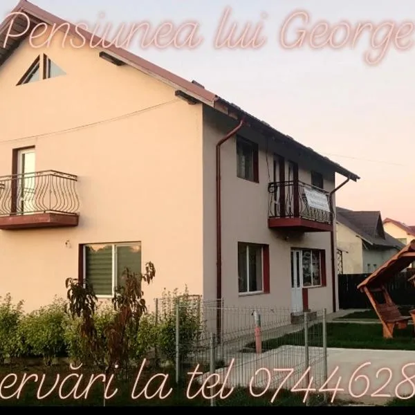 Pensiunea lui George, hôtel à Vaslui