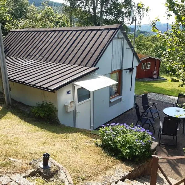 " Haus Willi " Sohlbach, hotel v destinaci Netphen