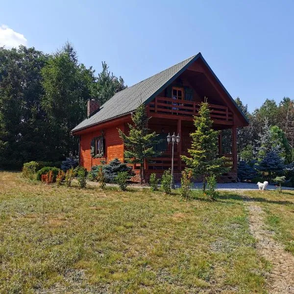 Domek na wsi nad jeziorem , prywatny staw, hotel in Miłachówek