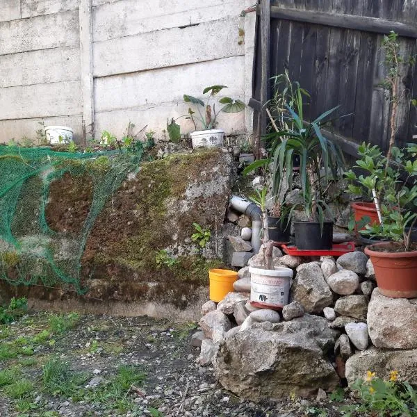 Casa Adrian CAMERE CENTRU VECHI, hotel v destinaci Brašov