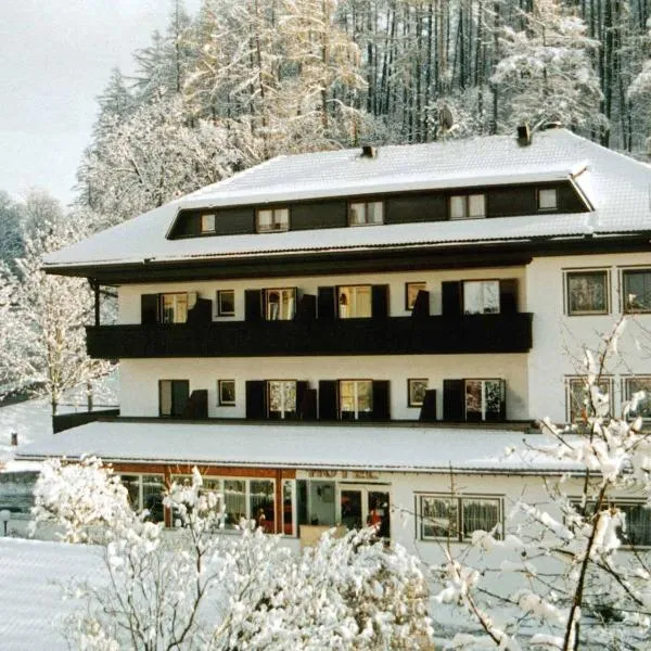 브루니코에 위치한 호텔 Hotel Bologna