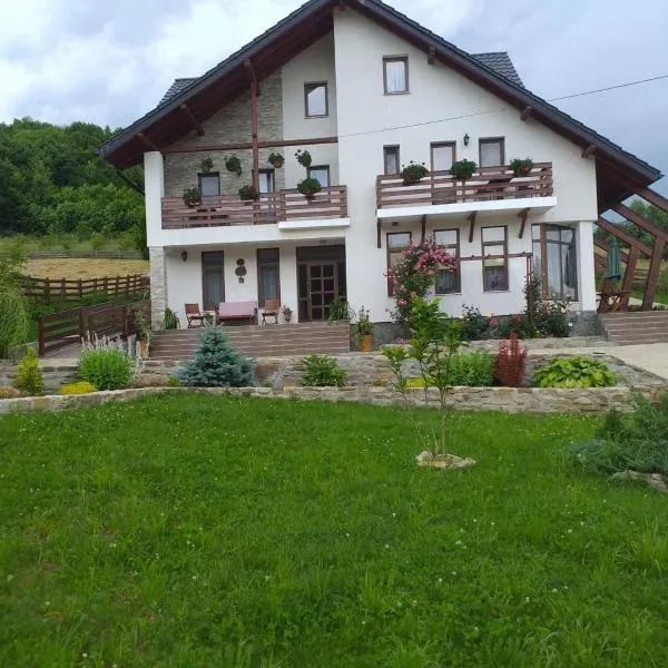 Pensiunea Doina Bucovinei, hotel v destinaci Klášter Humor