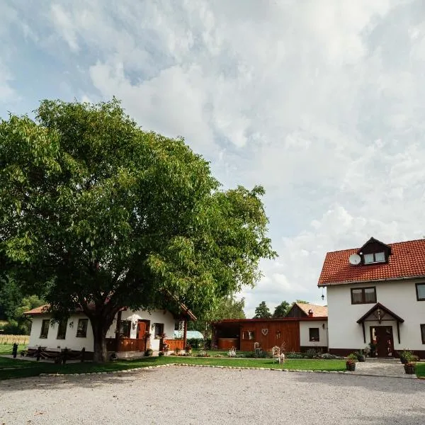 Vén Diófa, hotel in Sicasău