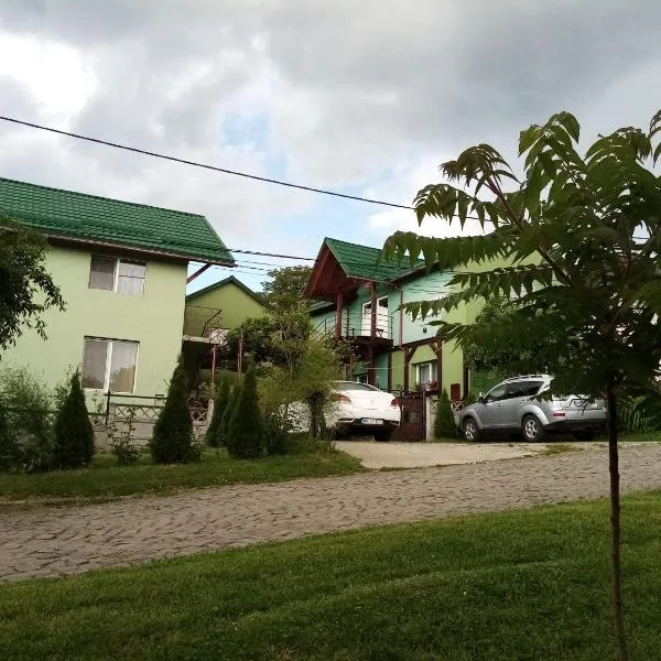 Pension Verde, hotel di Dăneşti