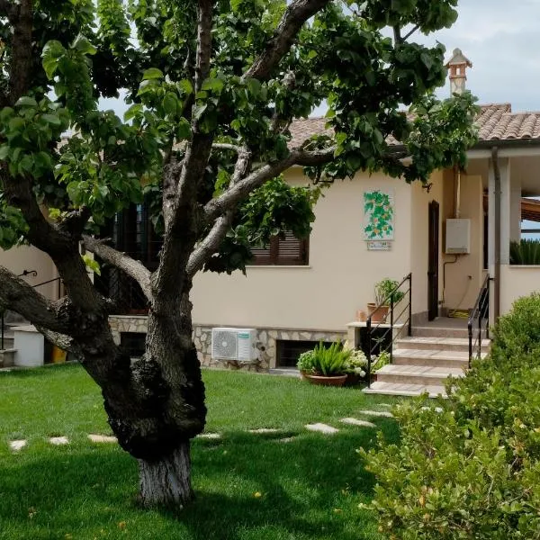 L'Albicocco, hotel em Ladispoli