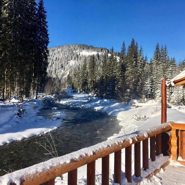 Pensiunea Vanatorul, hotel in Obarsia-Lotrului