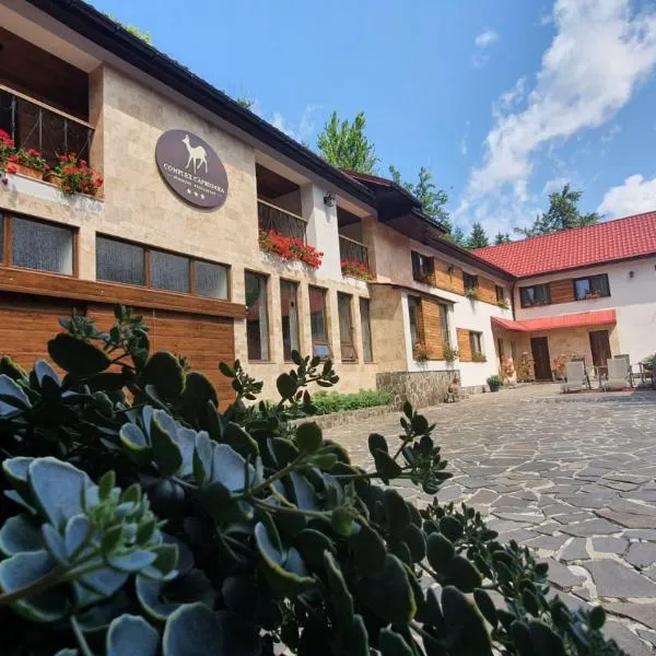 Complex Turistic Caprioara, hotel v destinaci Baia Mare