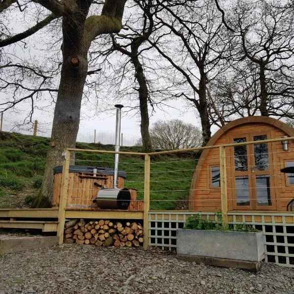 Tan-y-Dderwen Pod, hotel di Llandinam