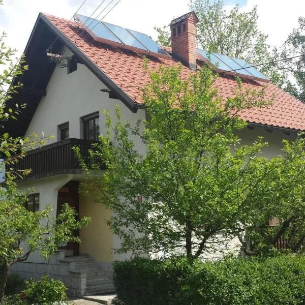 Apartments Boris, hotel v Blede