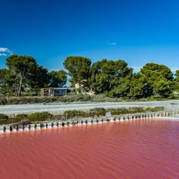 Nuits Salines Aigues-Mortes, hotel v destinaci Aigues-Mortes