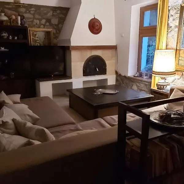 Vila primitoare cu piscina pentru gasca mare, hotel in Sasca Montană