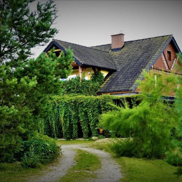 Agroturystyka Bogdanki, hotel en Stary Dzierzgoń