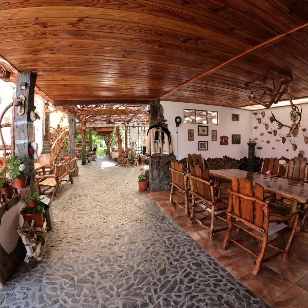 Casa Vlad, hotel v destinaci Haţeg