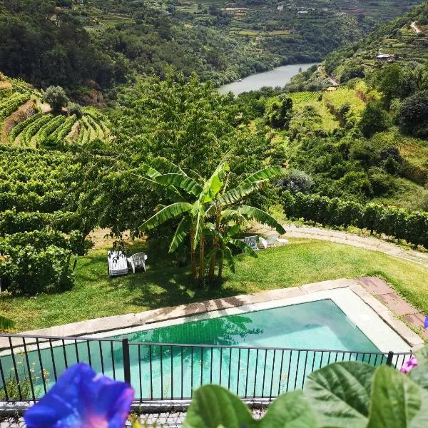Quinta Barqueiros D'Ouro - Casa da Música, hotel v destinaci Mesao Frio