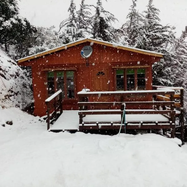 Cabañas Lomas del Manzano, hotel em El Canelo