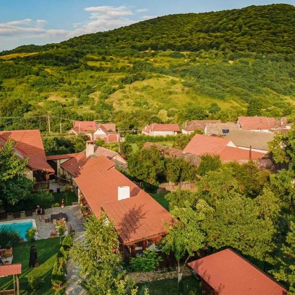 Casa Dives - Transylvania, hotel di Pianu de Sus