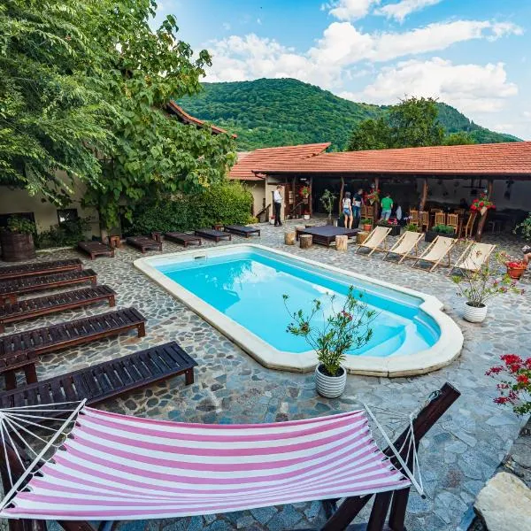 Casa Dives - Varianta Boierească, Hotel in Pianu de Sus