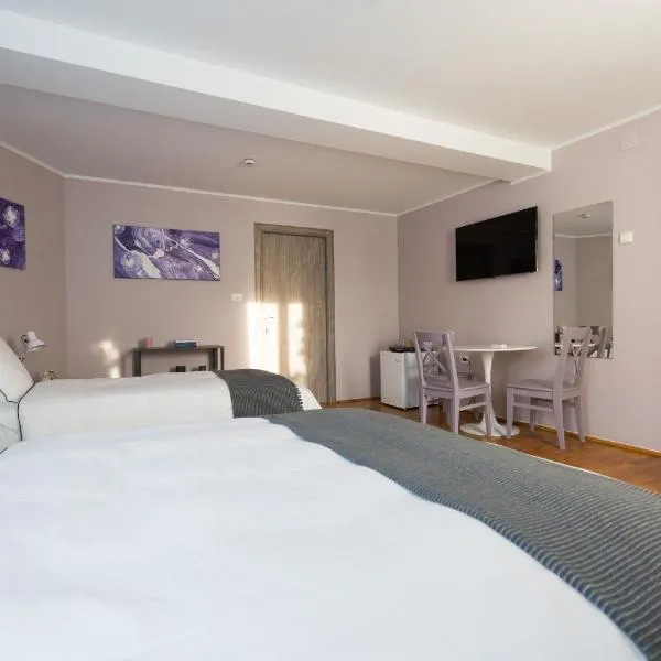 Casa Ris, hotel v destinaci Târgu Jiu
