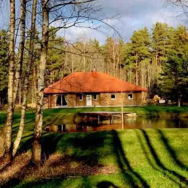 Forest house for family, hotel di Aukštupėnai