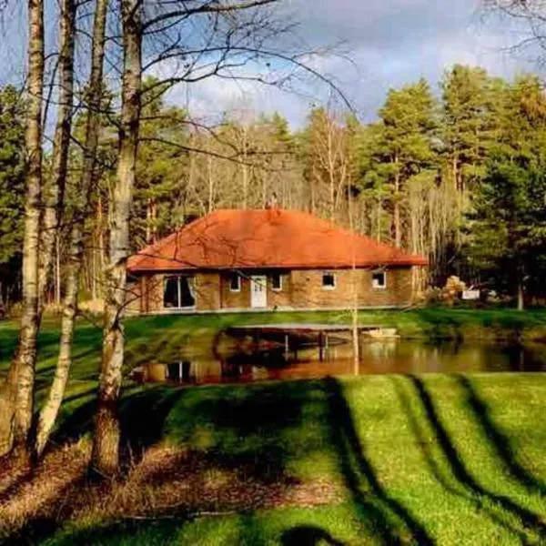 Forest house for family, hotel em Aukštupėnai