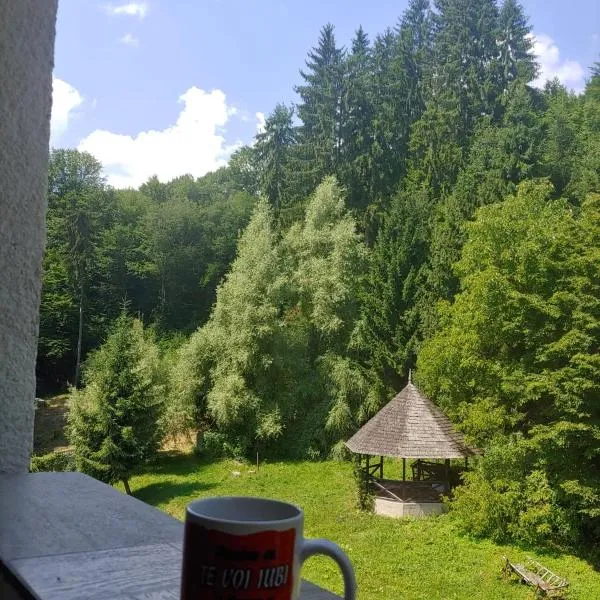 Casa Elena, hotel di Brădetu