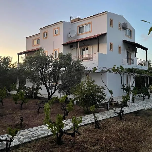 Andreas Studios, hotel v destinácii Svoronata