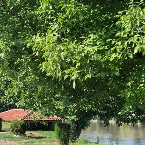 Apartmani Morava 54, hotel v destinaci Kočino Selo